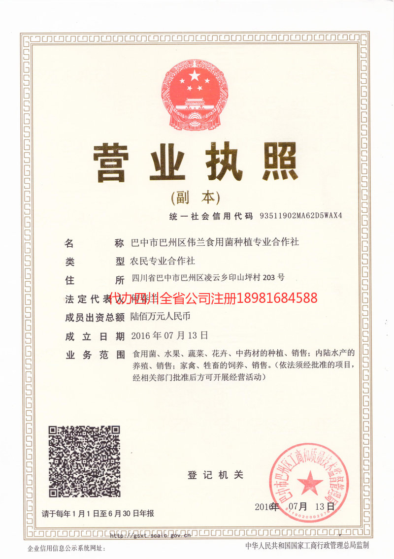 茂名茂名伟兰食用菌种植专业合作社